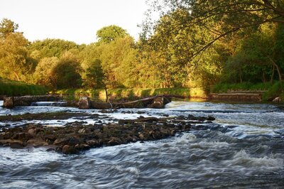 Mała Panew w pełnej krasie